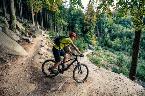 VTT Sunn : le guide pour trouver le modèle parfait
